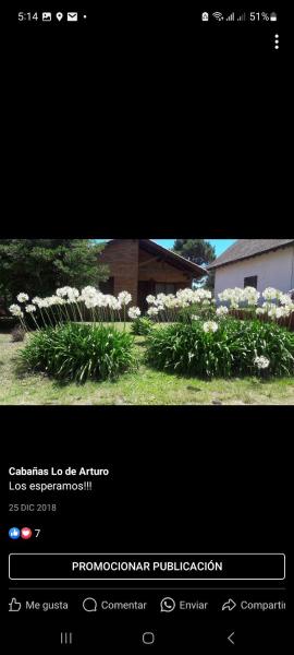 Cabañas Lo De Arturo